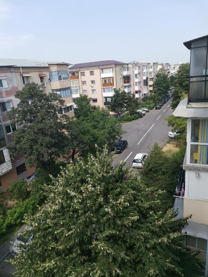 Bloom Box Apartments كرايوفا المظهر الخارجي الصورة