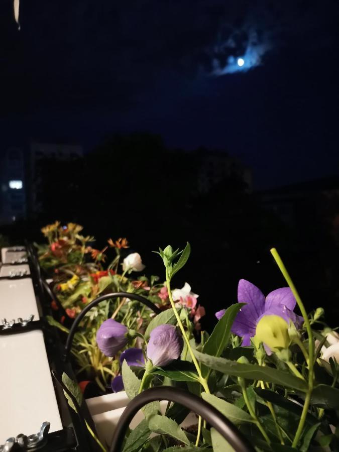 Bloom Box Apartments كرايوفا المظهر الخارجي الصورة