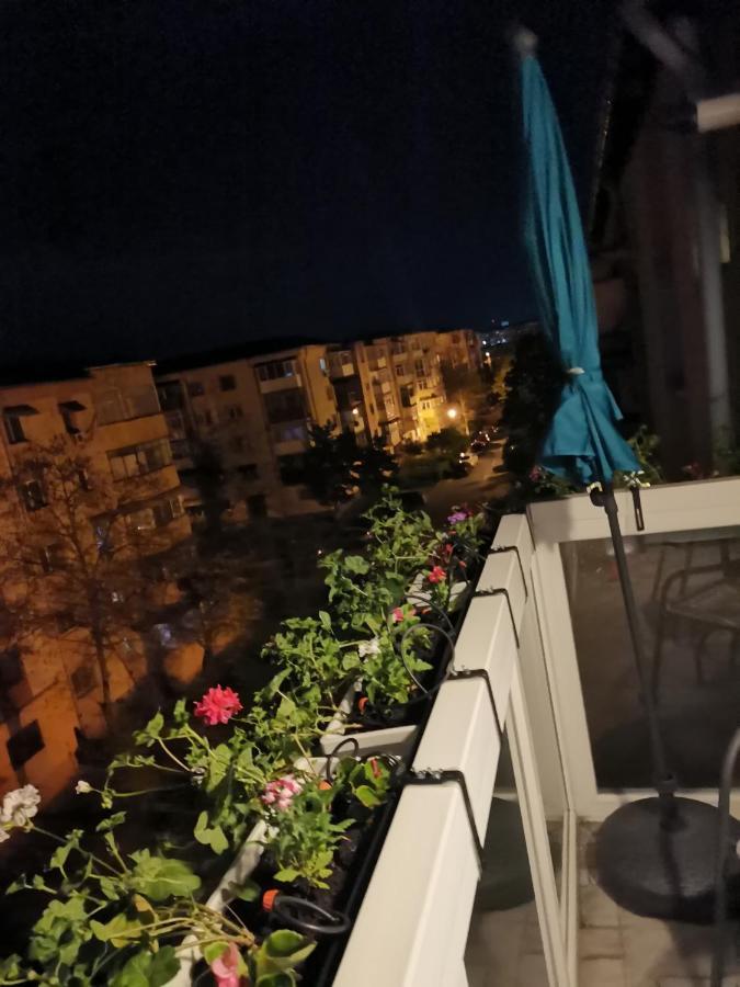 Bloom Box Apartments كرايوفا المظهر الخارجي الصورة